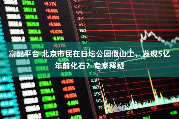 富配平台 北京市民在日坛公园假山上，发现5亿年前化石？专家释疑